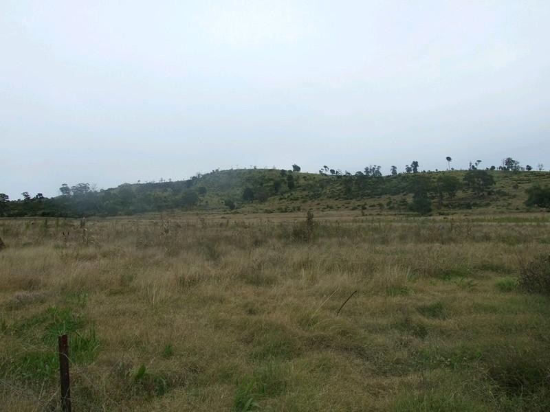 L179/ Thornville Range Road, Thornville QLD 4352