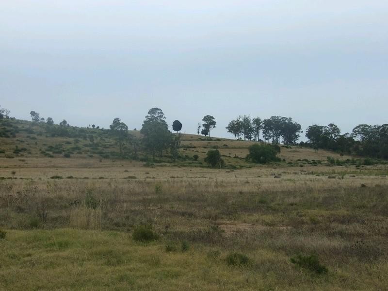 L179/ Thornville Range Road, Thornville QLD 4352