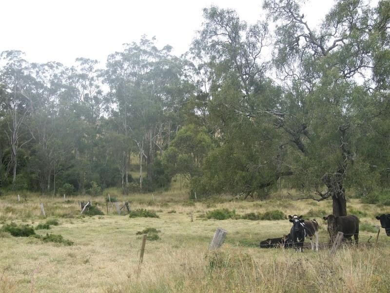 L179/ Thornville Range Road, Thornville QLD 4352