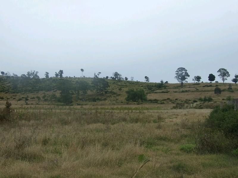 L179/ Thornville Range Road, Thornville QLD 4352