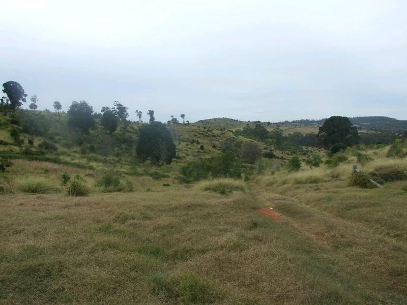 L179/ Thornville Range Road, Thornville QLD 4352