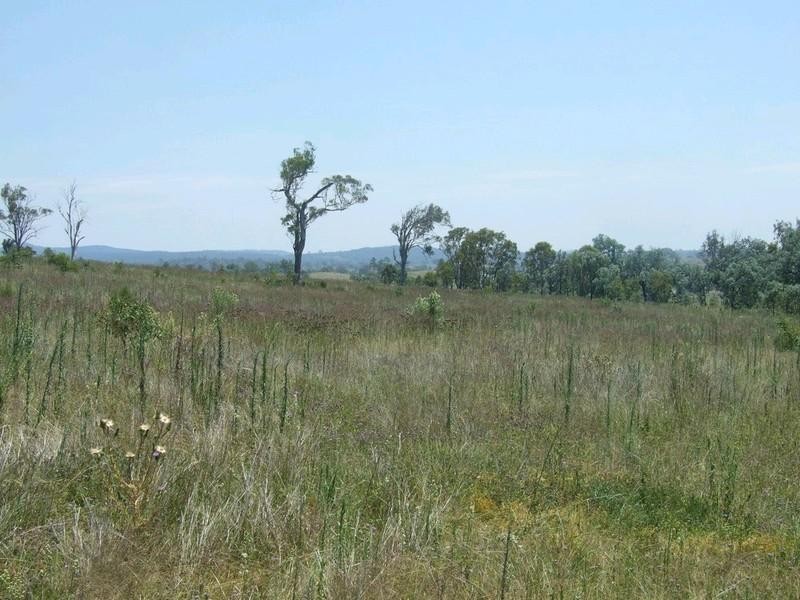 LOT 7 Pierce Creek Road, Emu Creek QLD 4355