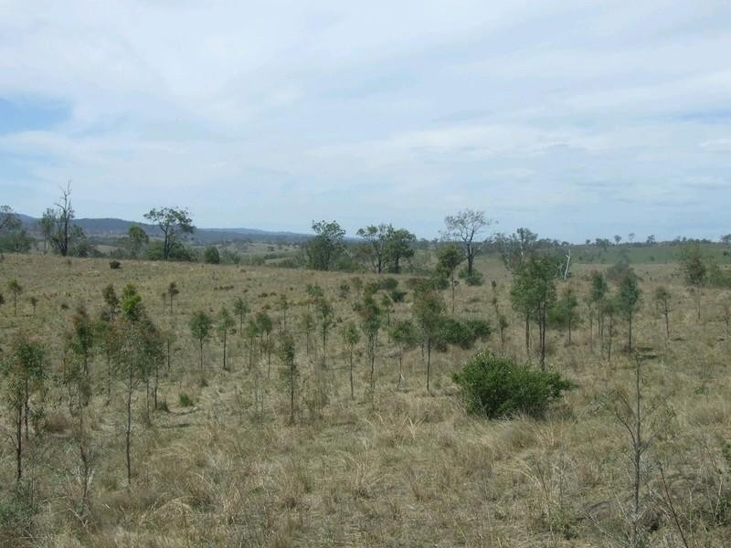 Lot 7 Pierce Creek Road, Emu Creek QLD 4355