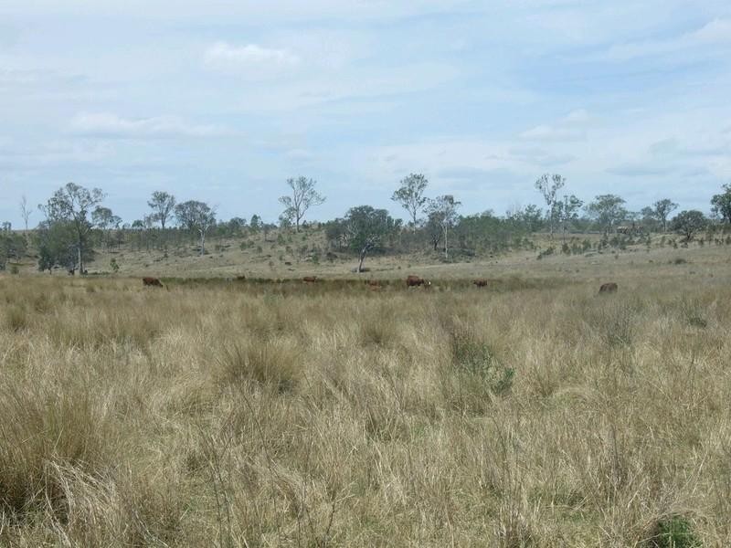 Lot 7 Pierce Creek Road, Emu Creek QLD 4355