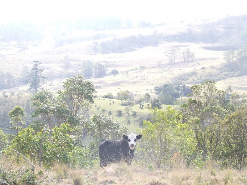 Lot 1 Anduramba Road, Crows Nest QLD 4355