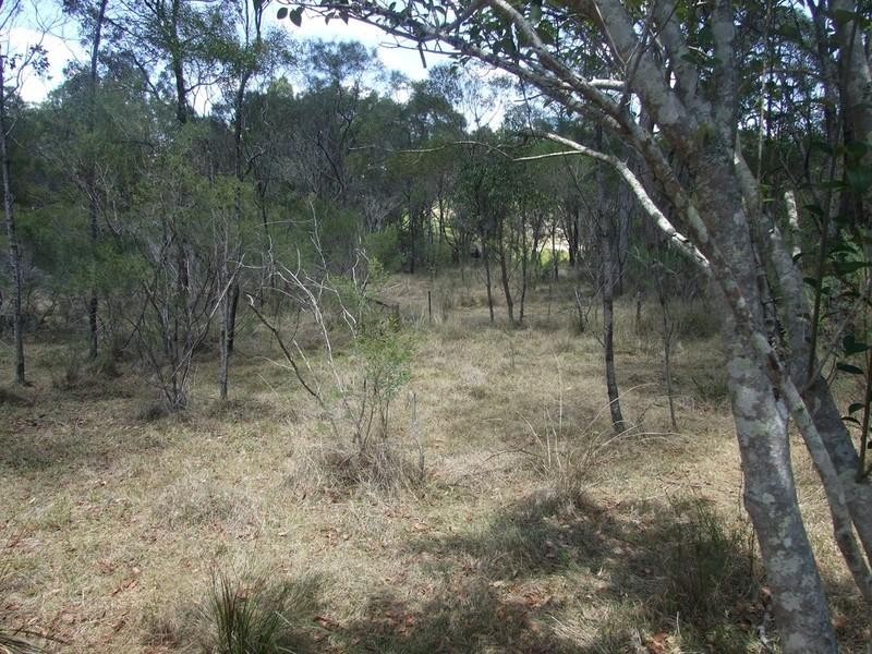 14 Dingo Mountain Road, Crows Nest QLD 4355