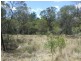 14 Dingo Mountain Road, Crows Nest QLD 4355