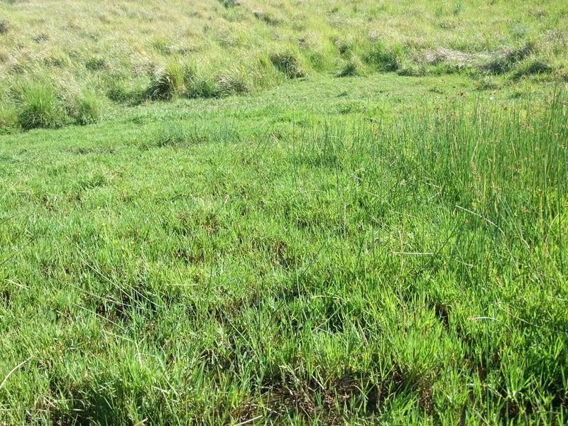 Lot 18-19/ McLean Road, Pechey QLD 4352