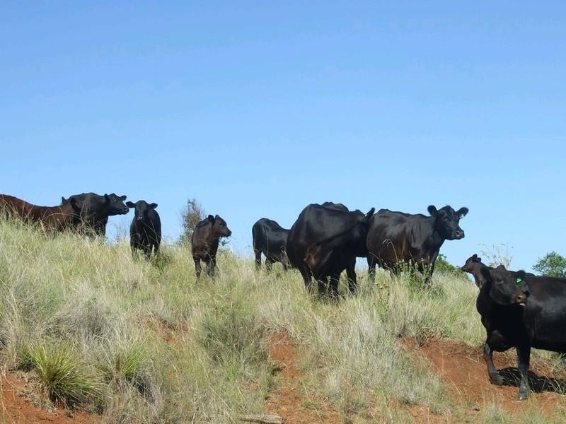 Lot 18-19/ McLean Road, Pechey QLD 4352