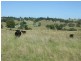 Lot 18-19/ McLean Road, Crows Nest QLD 4355