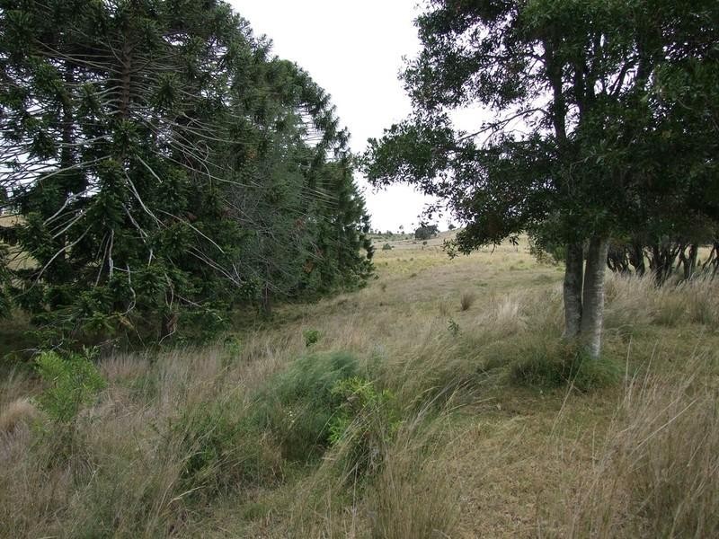 3580 New England Highway, Thornville QLD 4352