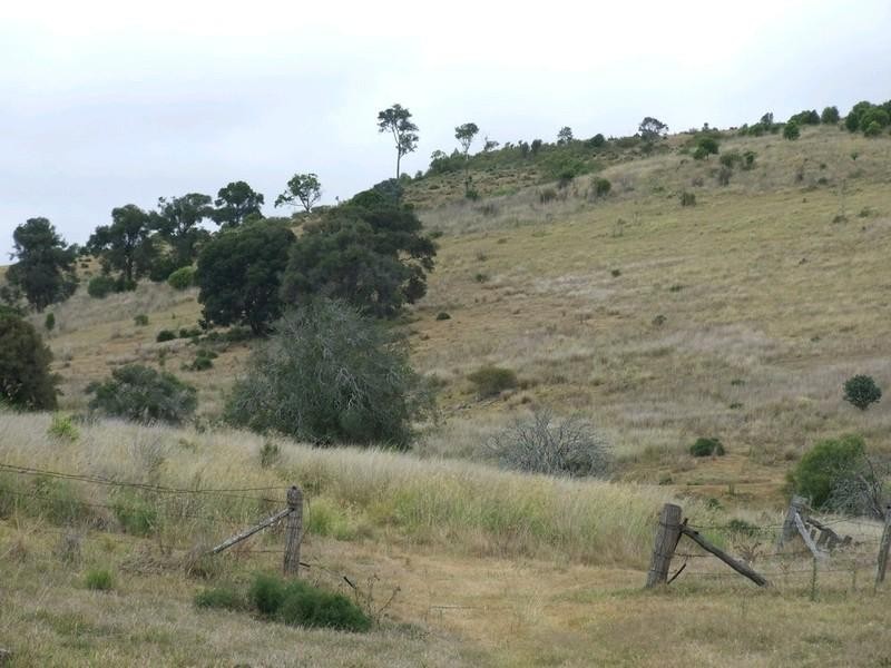 3580 New England Highway, Thornville QLD 4352