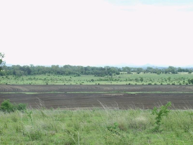 3596 Pechey Maclagan Road, Brymaroo QLD 4403