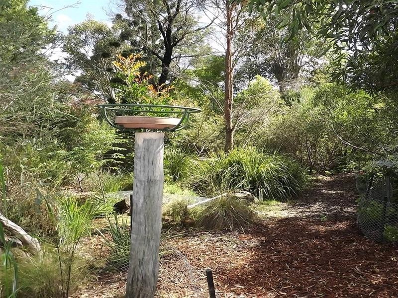 6 Short Street, Crows Nest QLD 4355