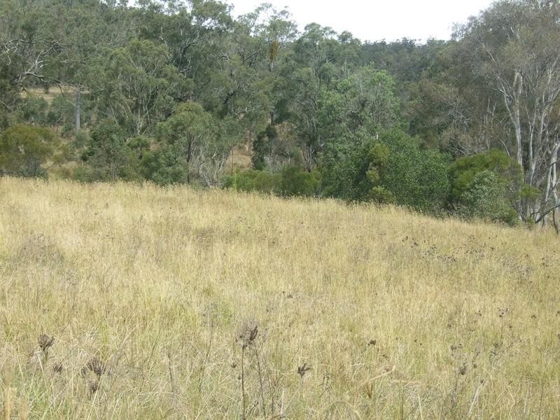 374 Voll Road, Crows Nest QLD 4355