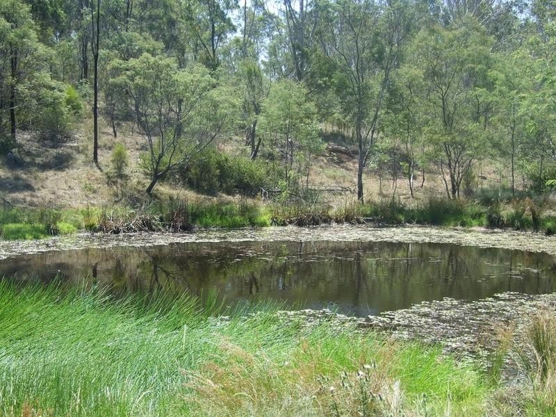 1131 Cooyar Mt Binga Road, Blackbutt QLD 4306