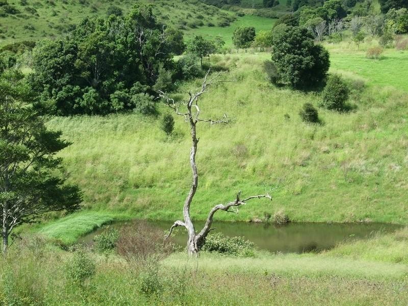 Lot 2 Upper Pineland Road, Crows Nest QLD 4355