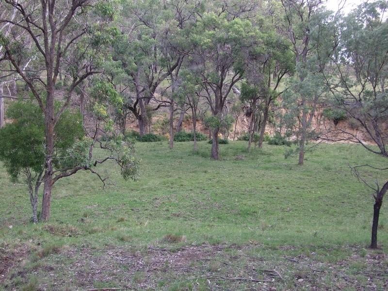 1205 Pechey-Maclagan Road, Groomsville QLD 4352