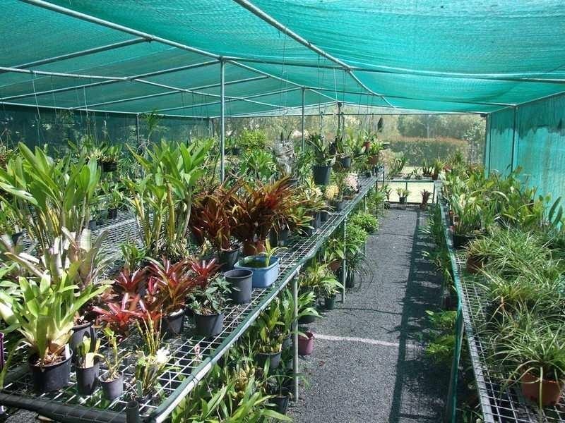 3 Albert Street, Crows Nest QLD 4355