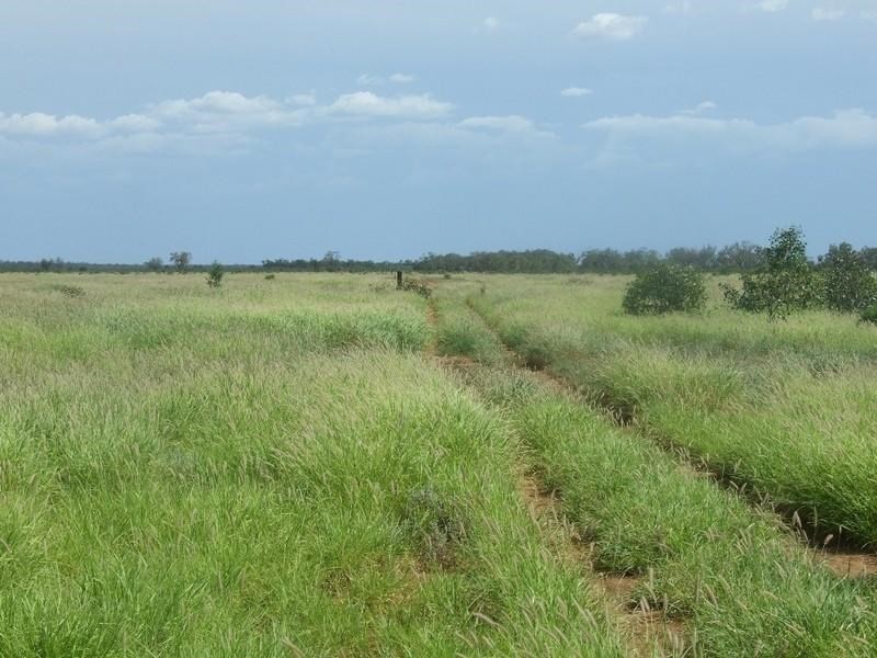 000 Bollon-Mitchell Road, Bollon QLD 4488