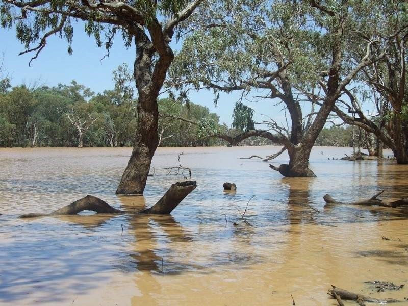 000 Bollon-Mitchell Road, Bollon QLD 4488