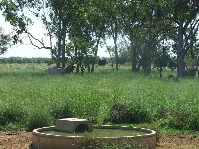 000 Bollon-Mitchell Road, Bollon QLD 4488