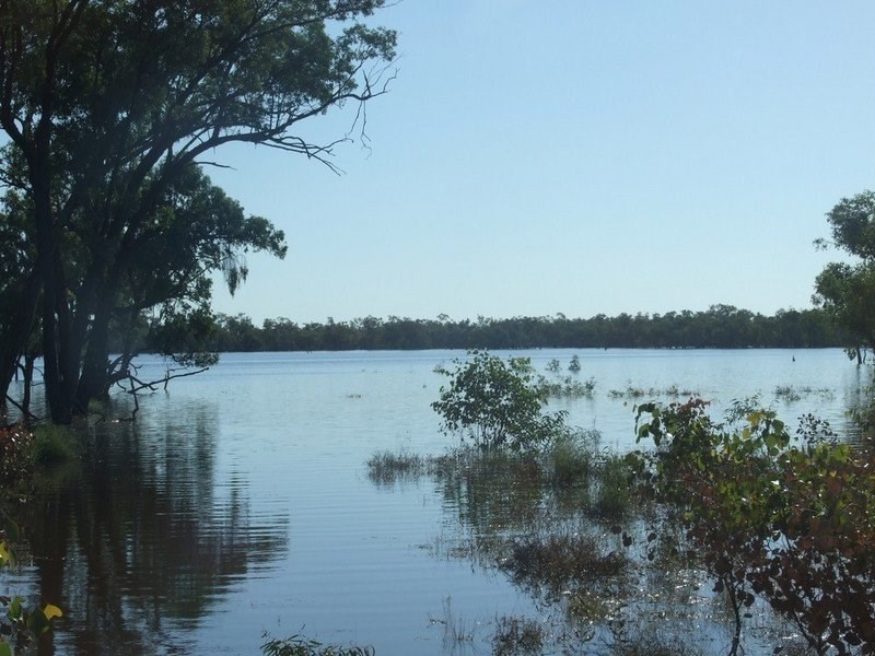 000 Bollon-Mitchell Road, Bollon QLD 4488