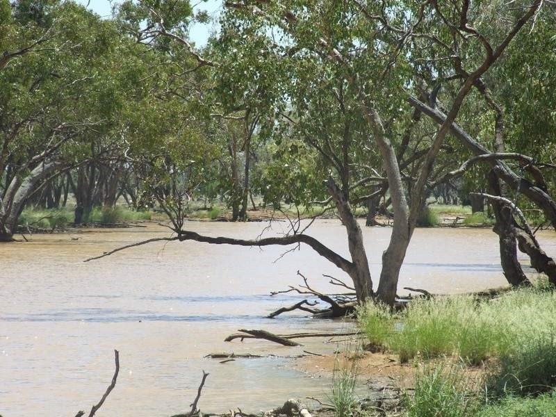 000 Bollon-Mitchell Road, Bollon QLD 4488