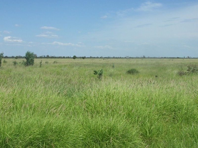 000 Bollon-Mitchell Road, Bollon QLD 4488