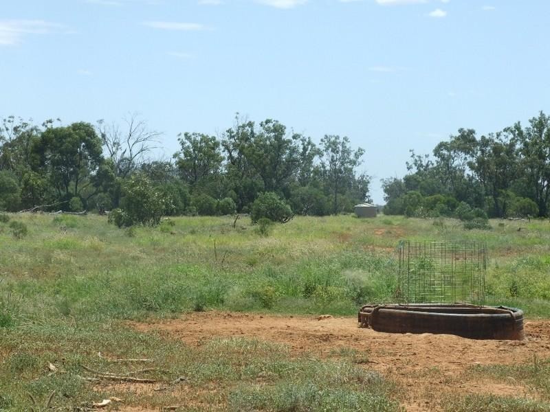 000 Bollon-Mitchell Road, Bollon QLD 4488