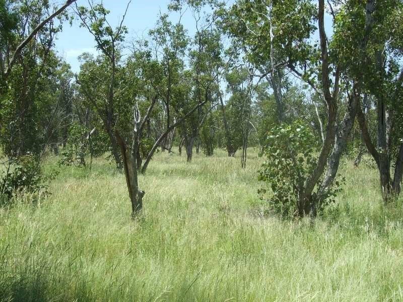 000 Bollon-Mitchell Road, Bollon QLD 4488