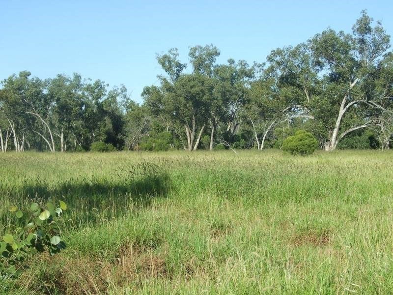 000 Bollon-Mitchell Road, Bollon QLD 4488