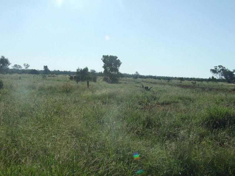 000 Bollon-Mitchell Road, Bollon QLD 4488