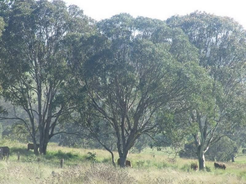 L2 Merritts Creek Road, Hampton QLD 4352