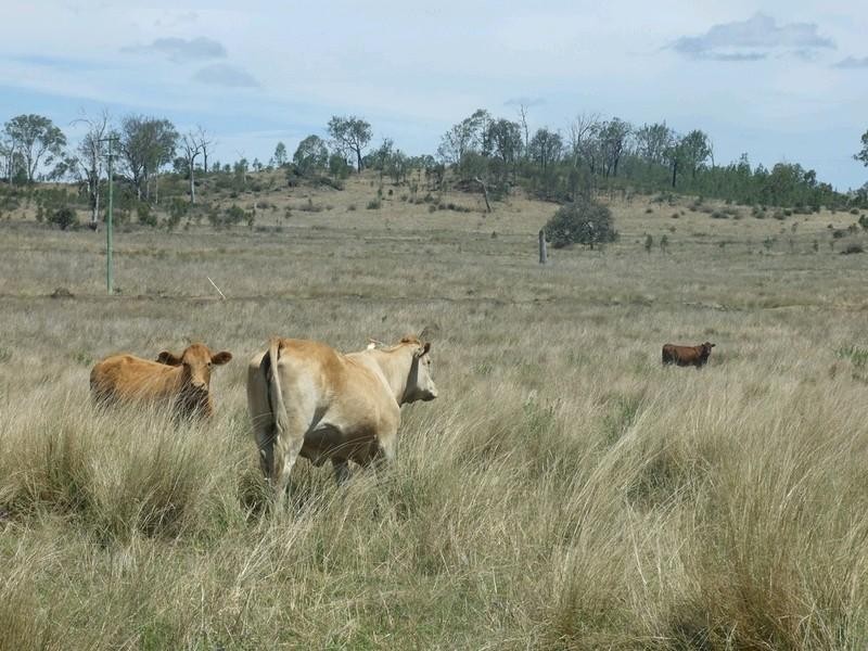 Lot 7 Pierce Creek Road, Crows Nest QLD 4355