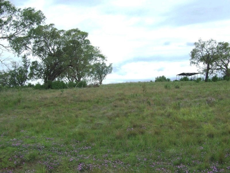 3596 Pechey Maclagan Road, Brymaroo QLD 4403