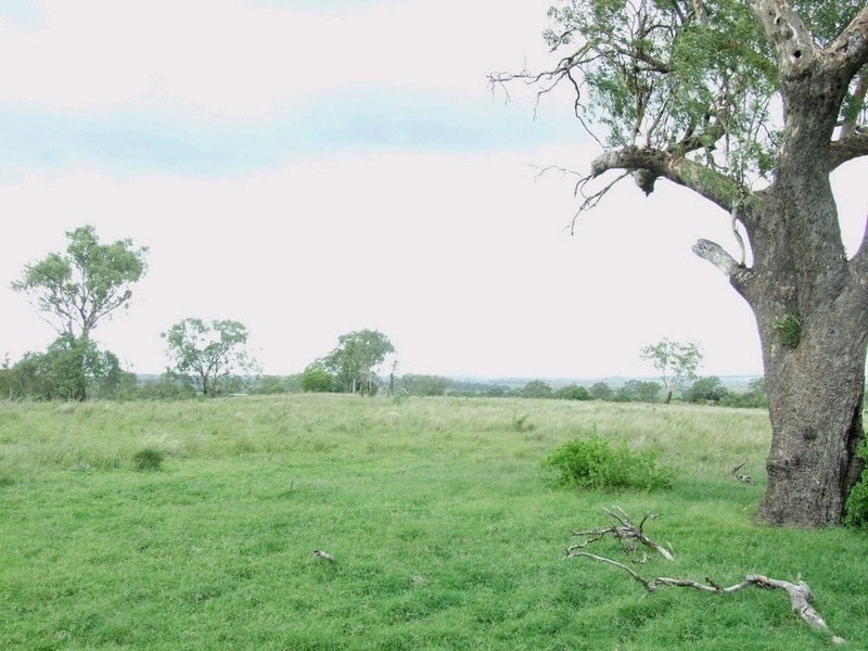 3596 Pechey Maclagan Road, Brymaroo QLD 4403