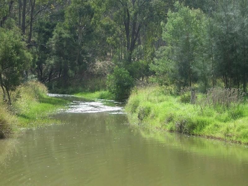 374 Voll Road, Crows Nest QLD 4355