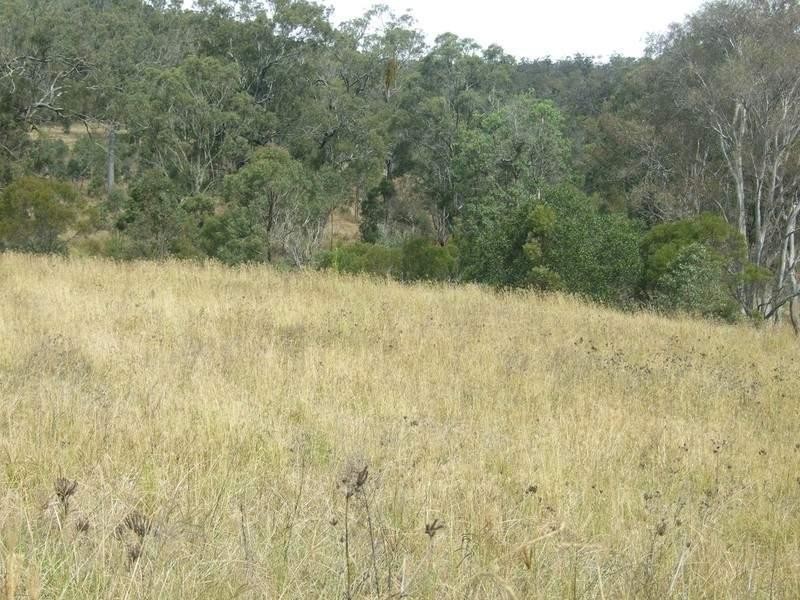374 Voll Road, Crows Nest QLD 4355