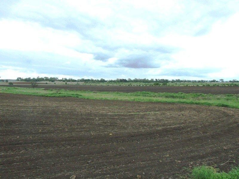 3596 Pechey Maclagan Road, Kulpi QLD 4352