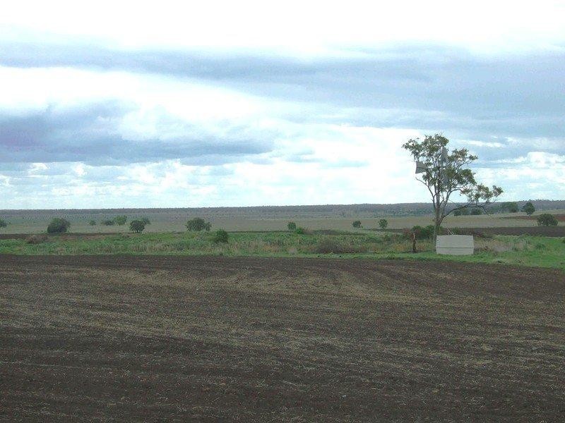 3596 Pechey Maclagan Road, Kulpi QLD 4352