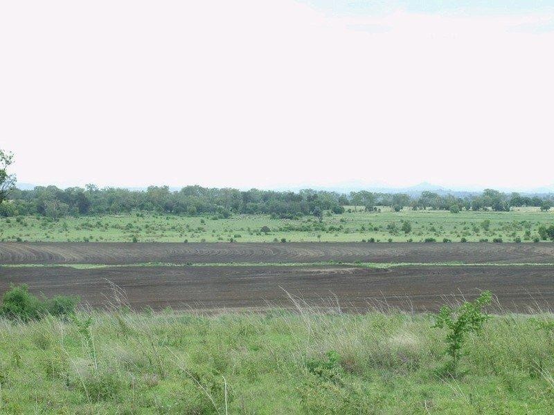 3596 Pechey Maclagan Road, Kulpi QLD 4352