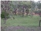 1205 Pechey Maclagan Road, Crows Nest QLD 4355
