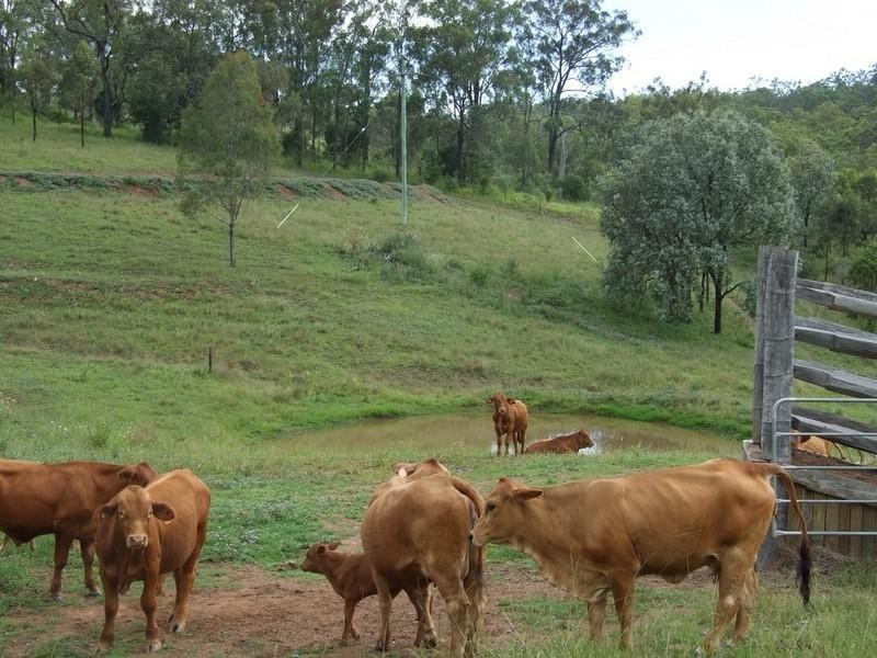 53 Fitch Road, Crows Nest QLD 4355