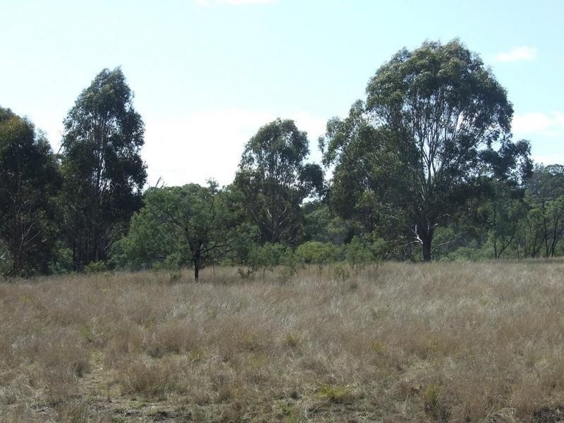 000 McCafferty Road, Hampton QLD 4352