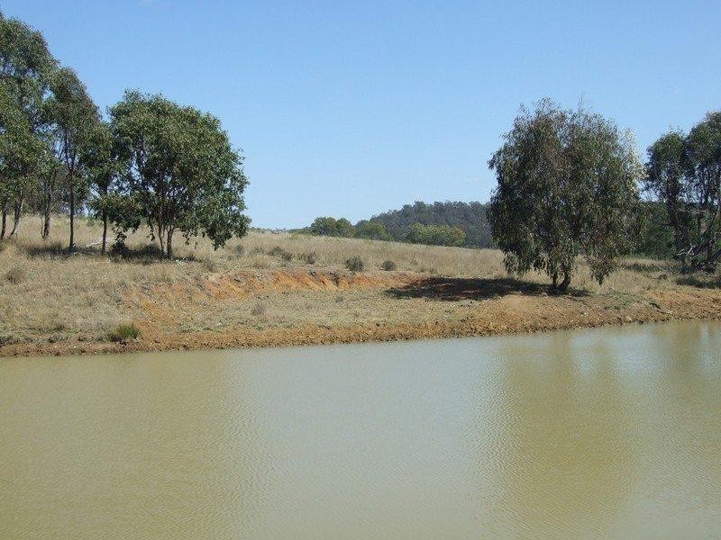 000 McCafferty Road, Hampton QLD 4352