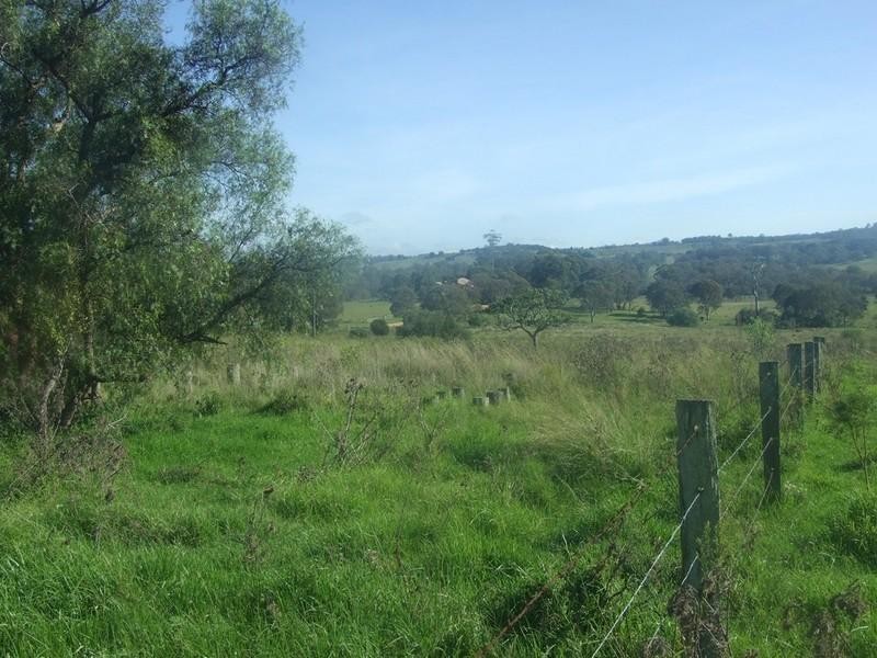 L197 Merritts Creek Road, Hampton QLD 4352