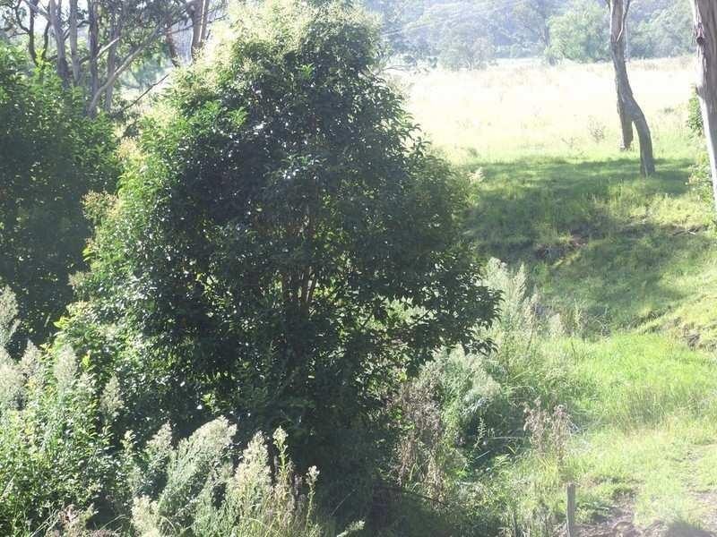 L2 Merritts Creek Road, Hampton QLD 4352