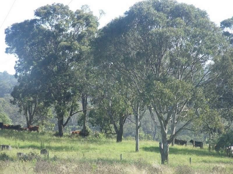 L2 Merritts Creek Road, Hampton QLD 4352