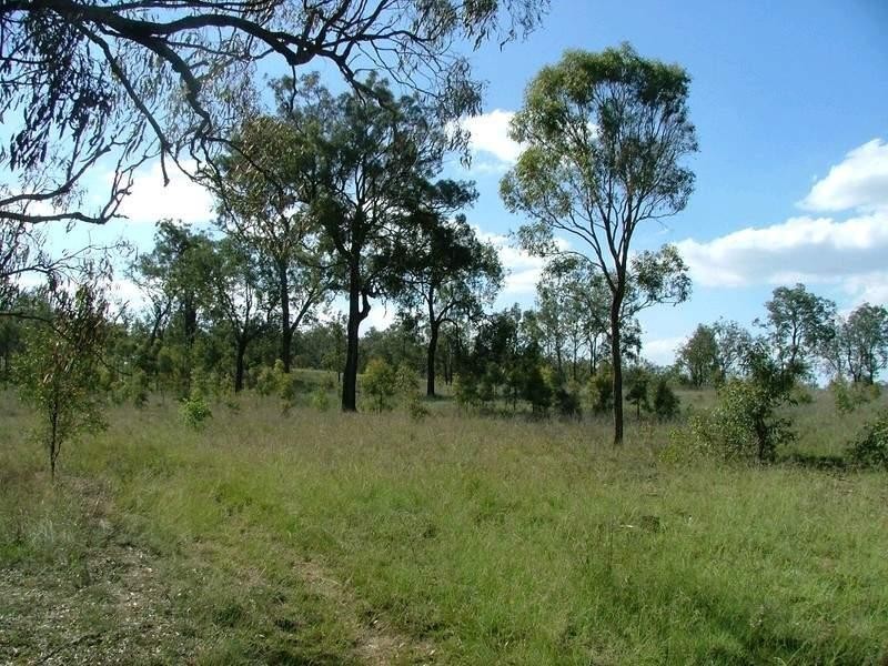 L307 Emu Creek Road, Crows Nest QLD 4355